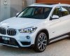 BMW X1   18i 2016 - Bán BMW X1 18i đời 2017, nhập chính hãng, nhiều ưu đãi cộng thêm