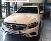 Mercedes-Benz Smart GLC 250 4 Matic 2017 - Bán xe Mercedes GLC 250 4 Matic đời 2017, màu trắng, khuyến mãi hấp dẫn