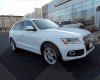 Audi Q5 2017 - Bán ô tô Audi Q5 đời 2017, màu trắng, nhập khẩu nguyên chiếc
