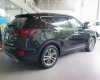 Hyundai Santa Fe 2017 - Bán xe Hyundai Santa Fe đời 2017, màu đen