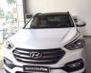 Hyundai Santa Fe Full Option 2017 - Bán Hyundai Santa Fe đời 2017, màu trắng