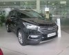 Hyundai Santa Fe 2017 - Bán xe Hyundai Santa Fe đời 2017, màu đen