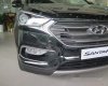 Hyundai Santa Fe 2017 - Bán xe Hyundai Santa Fe đời 2017, màu đen