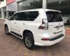 Lexus GX460 2016 - Bán ô tô Lexus GX 460 2016, màu trắng, sản xuất 2016 ĐK 2016, xe cực đẹp