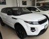 LandRover Evoque Black Edition 2015 - Mình bán ô tô LandRover Evoque Black Edition phiên bản 2016, màu trắng, nhập khẩu