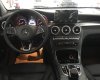 Mercedes-Benz Smart 300 4Matic 2017 - Cần bán xe Mercedes GLC300 4Matic đời 2017, màu bạc, nhập khẩu nguyên chiếc