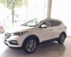Hyundai Santa Fe Full Option 2017 - Bán Hyundai Santa Fe đời 2017, màu trắng