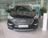 Hyundai Santa Fe 2017 - Bán xe Hyundai Santa Fe đời 2017, màu đen