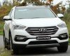 Hyundai Santa Fe 2017 - Hyundai Santa Fe 1061tr, siêu khuyến mại