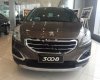 Peugeot 3008 2016 - Bán ô tô Peugeot 3008 đời 2016, màu nâu