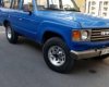 Toyota Land Cruiser 1987 - Cần bán lại xe Toyota Land Cruiser đời 1987, màu xanh lục