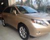 Lexus RX350 2009 - Bán Lexus RX350 đời 2009, nhập khẩu chính chủ