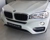 BMW X6 2016 - BMW X6 35i 2016, xe nhập, giá tốt nhất cả nước