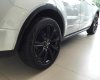 LandRover Evoque Black Edition 2015 - Mình bán ô tô LandRover Evoque Black Edition phiên bản 2016, màu trắng, nhập khẩu