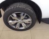 Ford Everest  2.2 Titanium 2017 - Bán xe Ford Everest 2.2 Titanium 2018