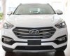 Hyundai Santa Fe 4WD 2017 - Bán Hyundai Santa Fe 2017, giá cực tốt