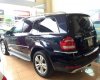 Mercedes-Benz GL350 2009 - Bán xe Mercedes đời 2009, màu xanh lam, xe nhập