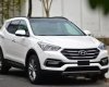 Hyundai Santa Fe 2017 - Cần bán Hyundai Santa Fe đời 2017, màu trắng