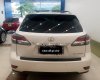 Lexus RX350 2013 - Bán Lexus RX 350 SX 2013, màu trắng