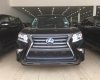 Lexus GX Luxury 2017 - Bán GX 460 Luxury nhập Mỹ 2017, mới 100%