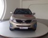 Kia Sorento 2016 - Cần bán xe Kia Sorento đời 2016, màu vàng, xe nhập, giá 868tr