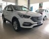 Hyundai Santa Fe 2017 - Bán xe Hyundai Santa Fe năm 2017, màu trắng