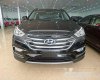 Hyundai Santa Fe   2017 - Bán xe Hyundai Santa Fe đời 2017, màu đen