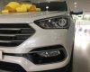 Hyundai Santa Fe 2.2 CRDi 2017 - Hyundai Trường Chinh - Hyundai Santa Fe 2017 tặng 50% trước bạ, liên hệ 0939.304.221 Minh