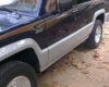 Isuzu Trooper 1988 - Cần bán lại xe Isuzu Trooper đời 1988 chính chủ, giá tốt