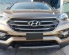 Hyundai Santa Fe 2017 - Cần bán Hyundai Santa Fe đời 2017, màu nâu