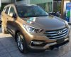 Hyundai Santa Fe 2017 - Cần bán Hyundai Santa Fe đời 2017, màu nâu