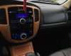 Ford Escape 2010 - Bán ô tô Ford Escape sản xuất 2010, màu hồng, xe nhập, giá tốt