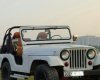 Jeep Wrangler   MT  1975 - Bán Jeep Wrangler MT đời 1975, giá chỉ 145 triệu