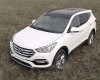 Hyundai Santa Fe 4x2 AT 2017 - Bán Hyundai Santa Fe 4x2 AT sản xuất 2017, màu trắng