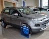Ford EcoSport 2017 - Cần bán Ford EcoSport đời 2017, nhập khẩu nguyên chiếc