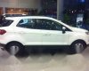 Ford EcoSport 2017 - Bán xe Ford EcoSport đời 2017, màu trắng, giá chỉ 507 triệu