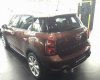 Mini Cooper S Countryman 2016 - Cần bán Mini Cooper S Countryman 2016, màu nâu, nhập khẩu