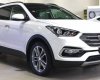 Hyundai Santa Fe 2017 - Hyundai Ninh Thuận_ Hyundai Santafe 2017, giá cực tốt, khuyến mãi cực sốc lên đến 100tr đồng, hỗ trợ vay 80% giá trị xe