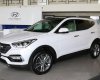 Hyundai Santa Fe 2017 - Hyundai Ninh Thuận_ Hyundai Santafe 2017, giá cực tốt, khuyến mãi cực sốc lên đến 100tr đồng, hỗ trợ vay 80% giá trị xe