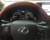 Lexus RX350 AWD 2010 - Bán xe Lexus RX350 2010, Full option 2 cầu bản cực hiếm