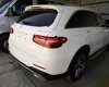 Mercedes-Benz Smart GLC 300 4Matic 2017 - Bán ô tô Mercedes GLC 300 4Matic 2017, màu trắng