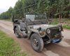 Jeep M151 1975 - Cần bán Jeep M151 đời 1975, nhập khẩu, giá tốt