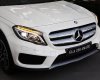 Mercedes-Benz GLA-Class GLA250 2017 - Bán Mercedes GLA250 2017, màu trắng, nhập khẩu
