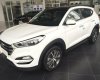 Hyundai Tucson 2017 - Hyundai Gia Lai - Hyundai Tucson 2017 hoàn toàn mới, giá tốt nhất thị trường, chỉ từ 760tr, trả góp 80% xe, 0915554357