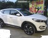 Hyundai Tucson 2017 - Cần bán Hyundai Tucson đời 2017, màu trắng, xe nhập