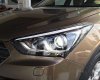 Hyundai Santa Fe 2016 - Bán Hyundai Santa Fe đời 2016, màu nâu