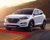 Hyundai Tucson 2.0 AT 2WD 2017 - Bán ô tô Hyundai Tucson sản xuất 2017, màu trắng