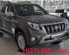 Toyota Land Cruiser Prado 2017 - Bán Toyota Land Cruiser Prado đời 2017, màu đen, nhập khẩu nguyên chiếc