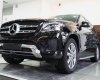 Mercedes-Benz GLS  400 4Matic 2017 - Bán ô tô Mercedes GLS400 4Matic đời 2017, màu đen, nhập khẩu