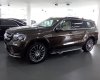 Mercedes-Benz GLS  500 4Matic 2017 - Bán Mercedes GLS 500 4Matic đời 2017, màu nâu, nhập khẩu